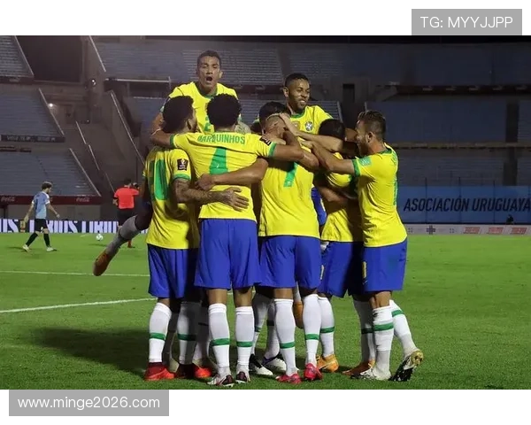 2026年南美区预选赛最新积分榜详细数据与球队表现总结