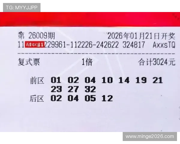 世界杯期间赌球的法律风险与道德责任,倡导理性投注维护体育赛事的公平公正