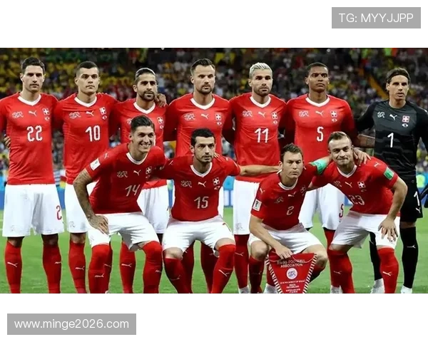 2026年世界杯48队名单全解析，了解每支球队的参赛背景与实力