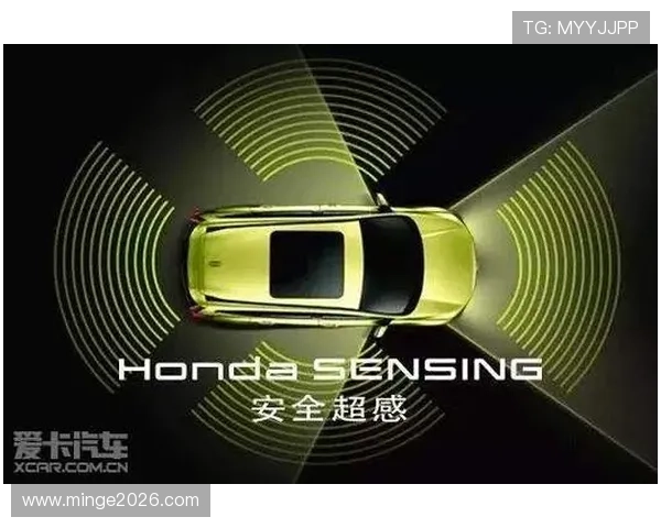 世界杯直播入口官网的安全性分析,保障用户观看体验的同时保护个人信息安全