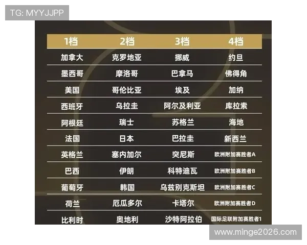 解析世界杯分组抽签的详细规则，揭示抽签背后的公平性与随机性